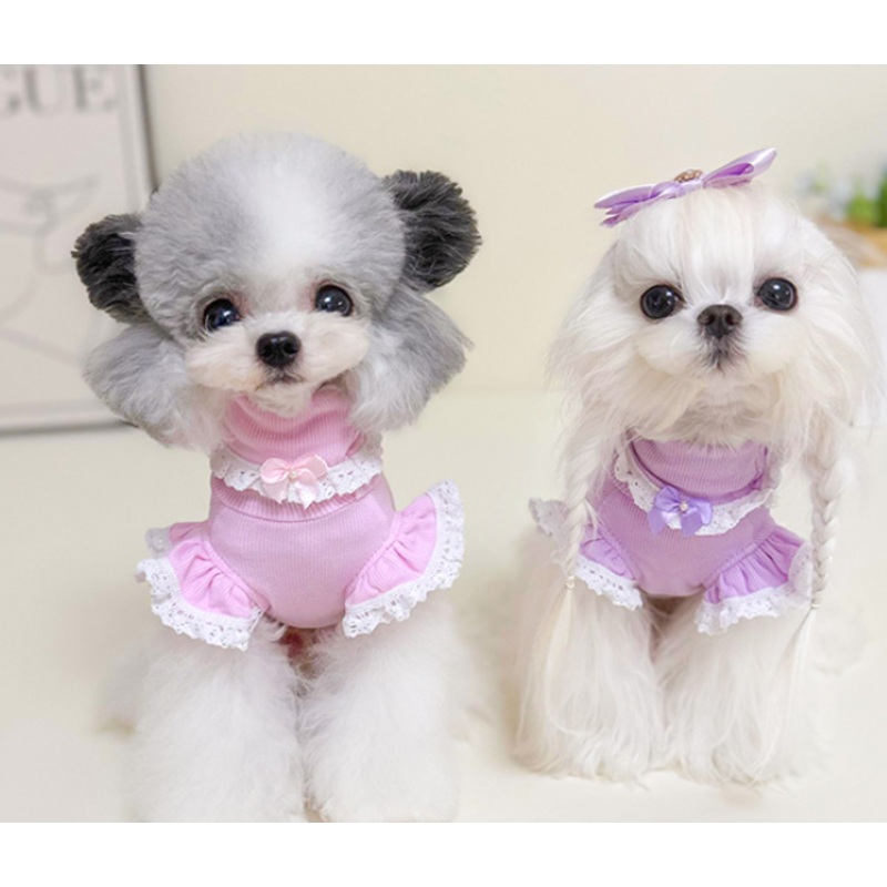 Cutie dog jumper