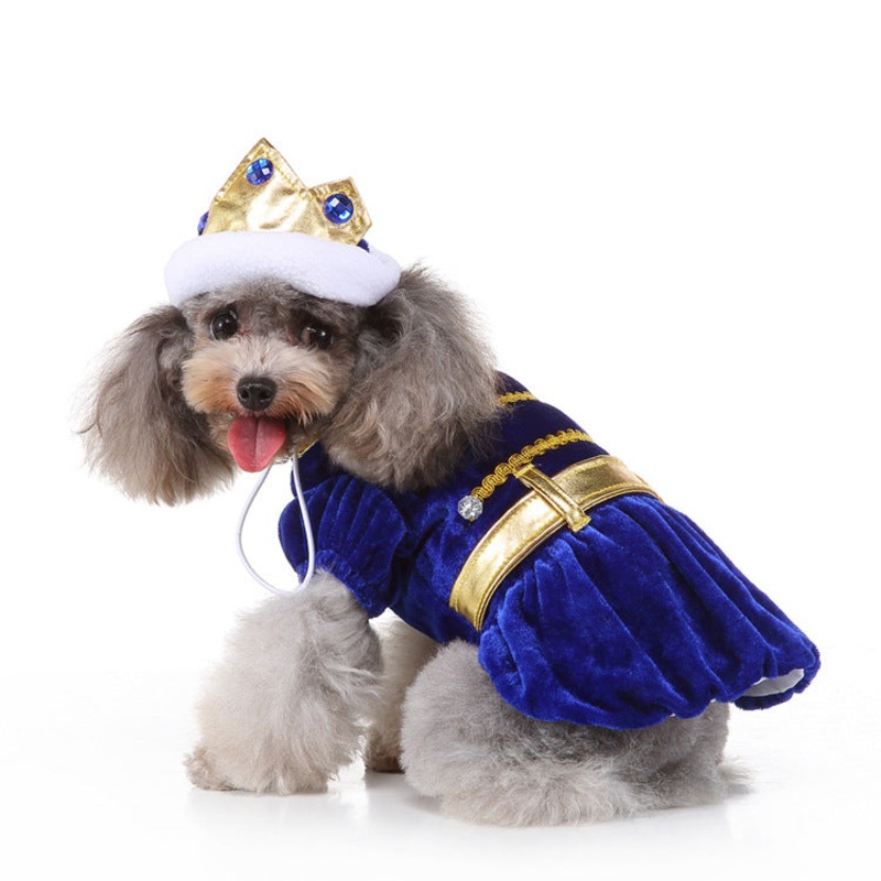 King cosplay dog outfit