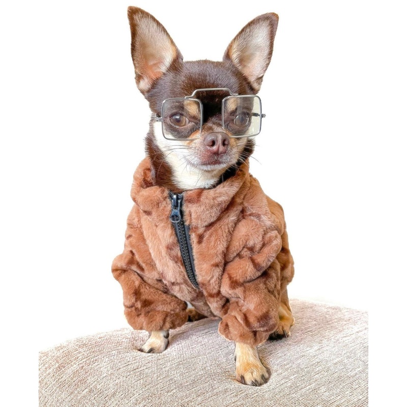 L & V dog coat