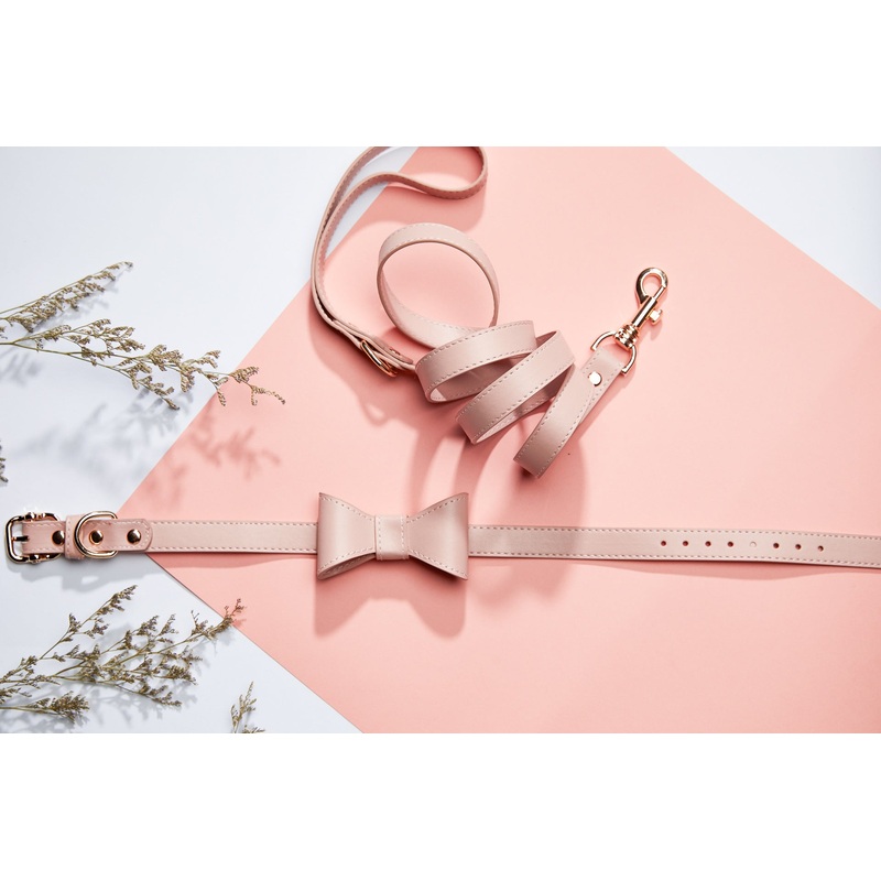 NEW BOW Collar set