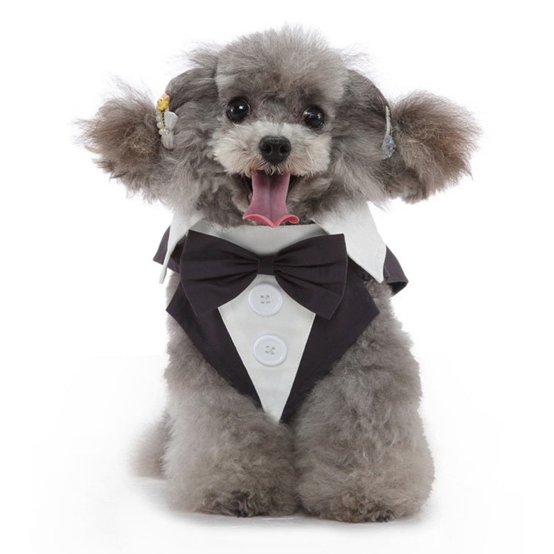 NEW Fashion Dog Tuxedo