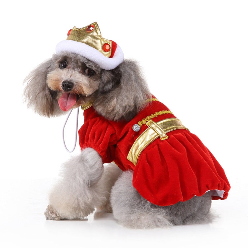 NEW King cosplay dog outfit