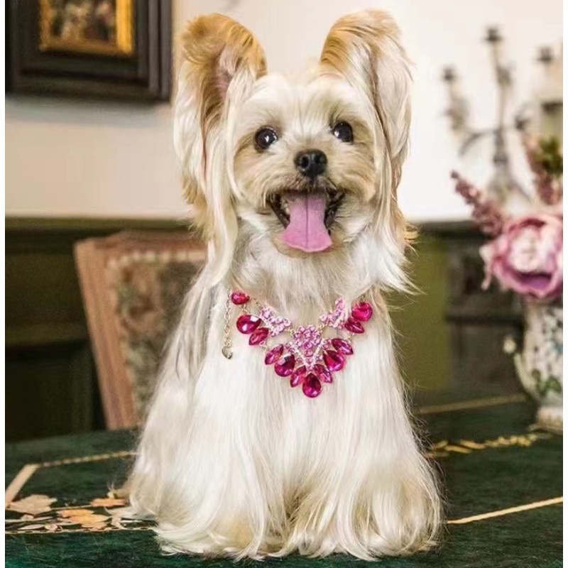 Royalty dog necklace