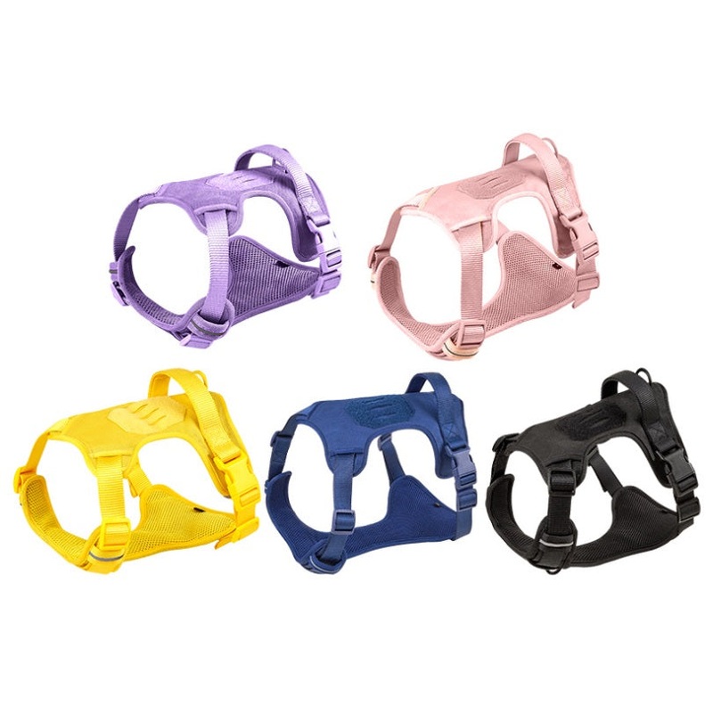 NEW Dog Walkies harness