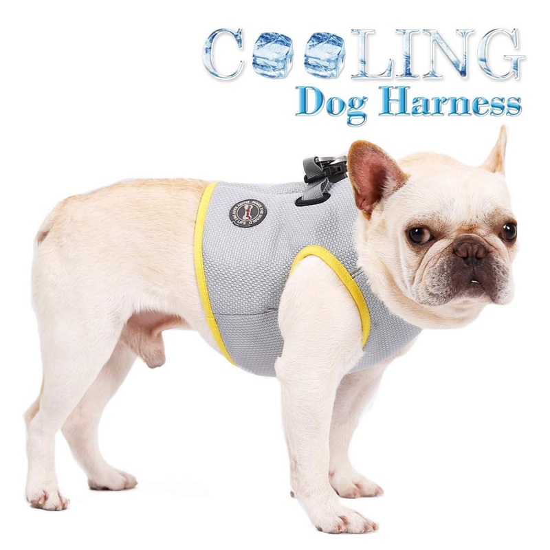 NEW DogLemi Cooling Dog Harness Vest