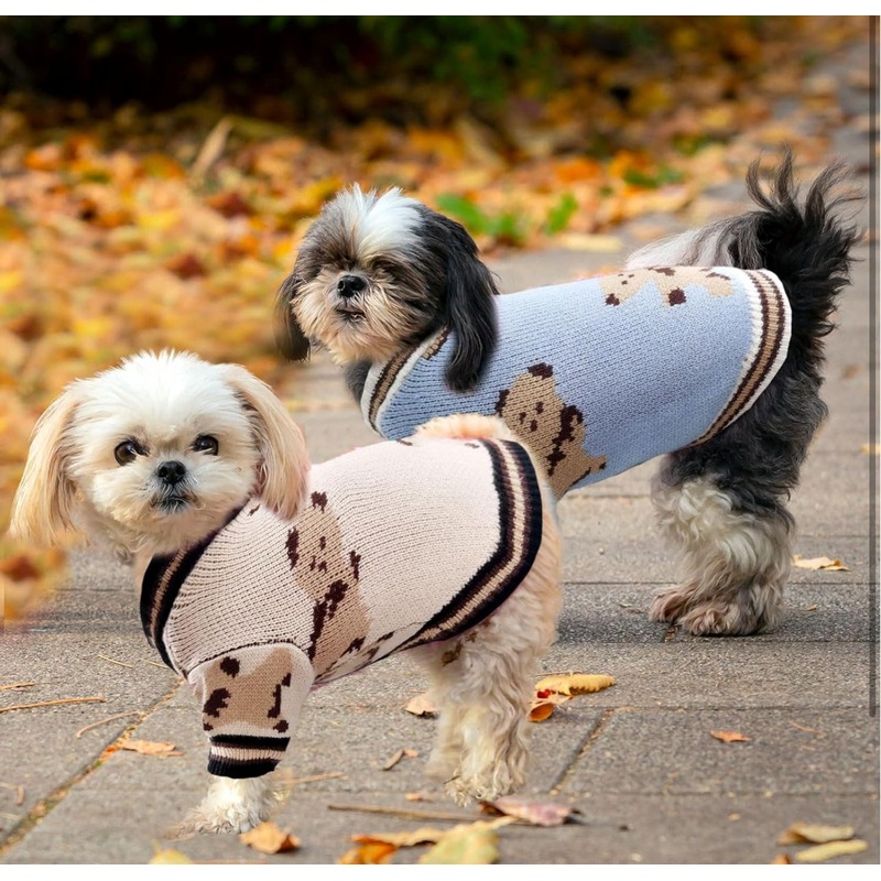 NEW Teddy Dog Jumper