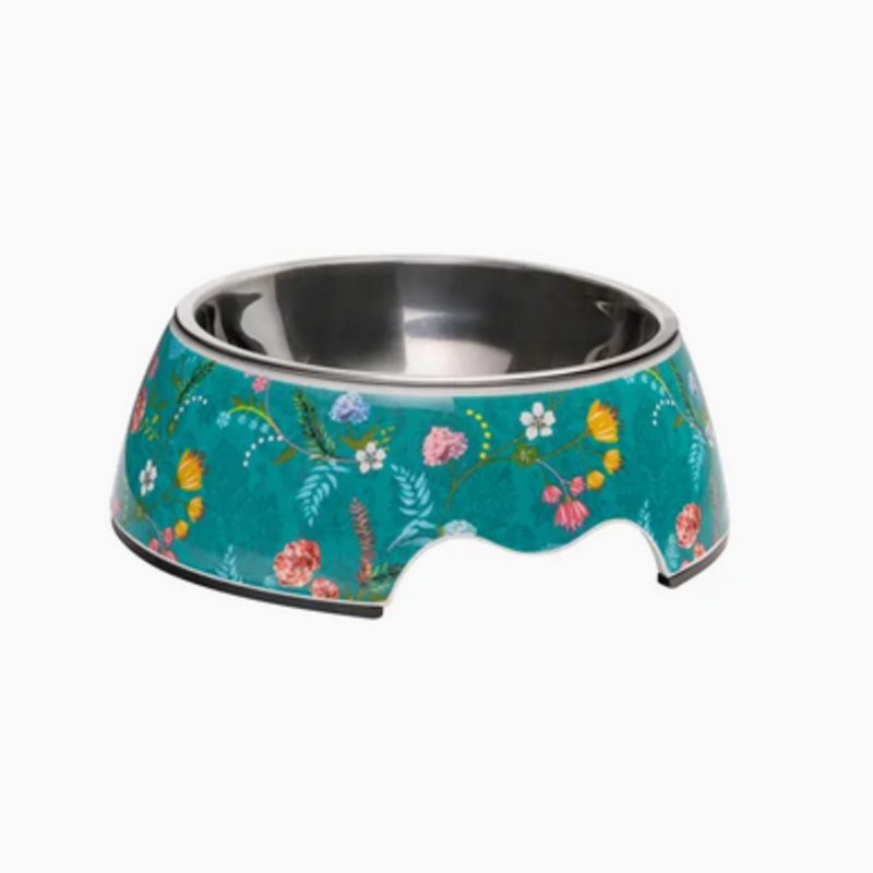 PawStory Avenue Classic Pet Bowl  Atlas Green