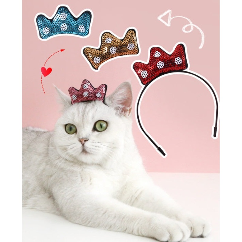 Pet Headband