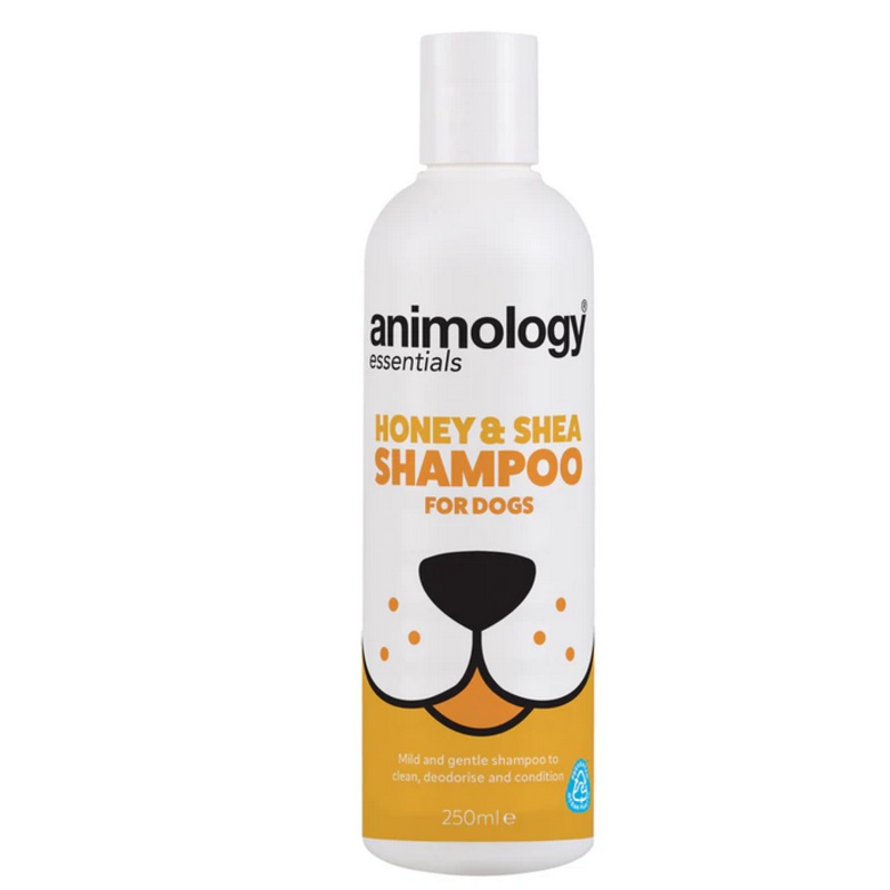 Essentials Honey & Shea Shampoo 250ml
