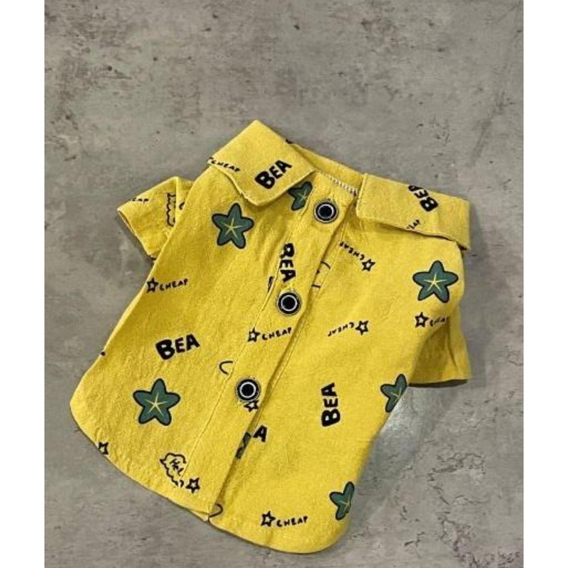 New Summer Shirt