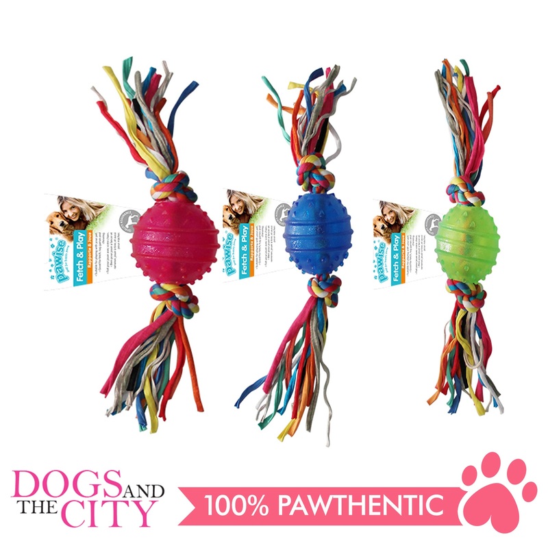 Pawise 14541 Dog Toy TPR Ball w/Rope 6.3cm