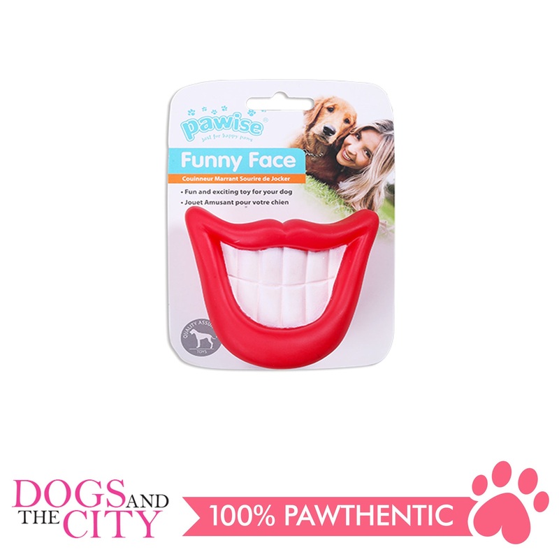 Pawise 14113 Vinyl Dog Toy-Big Tooth 9x8.5x8cm