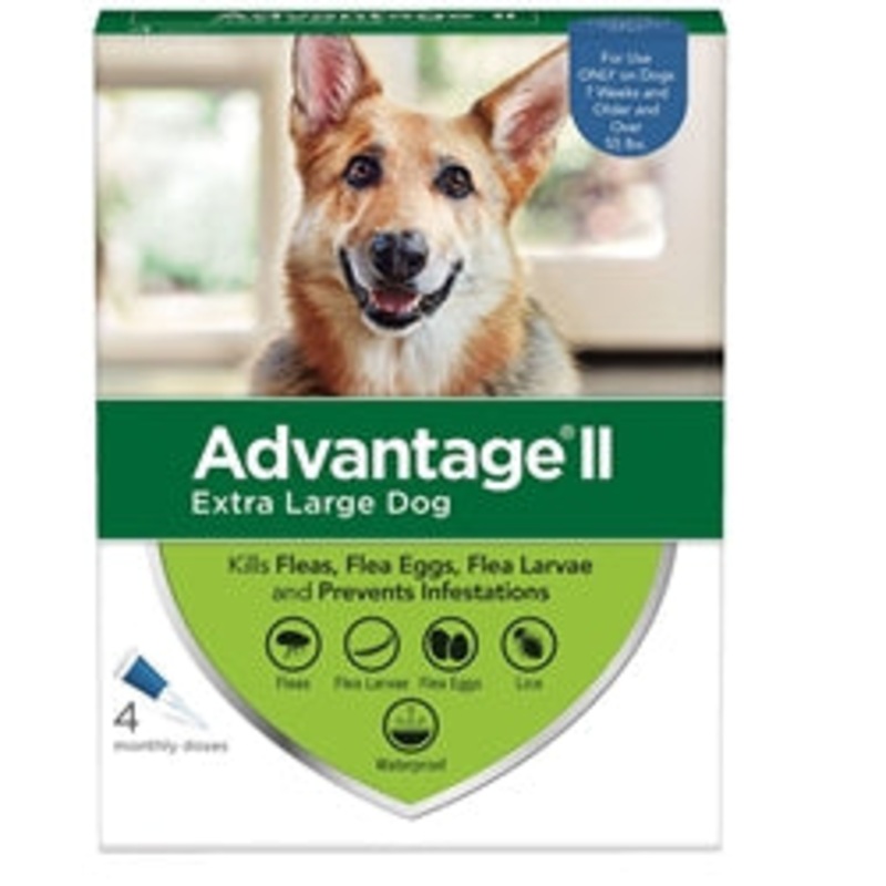 Advantage II Dog Extra Large Blue 4-Pack