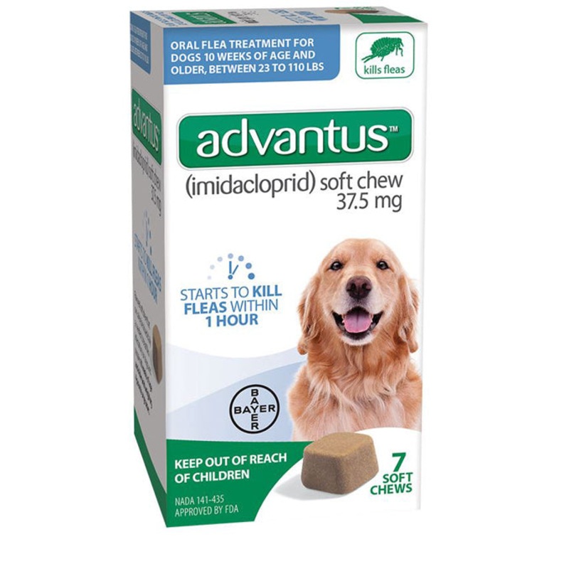 Advantus Dog Large 37.5mg Soft Chew 7ct.