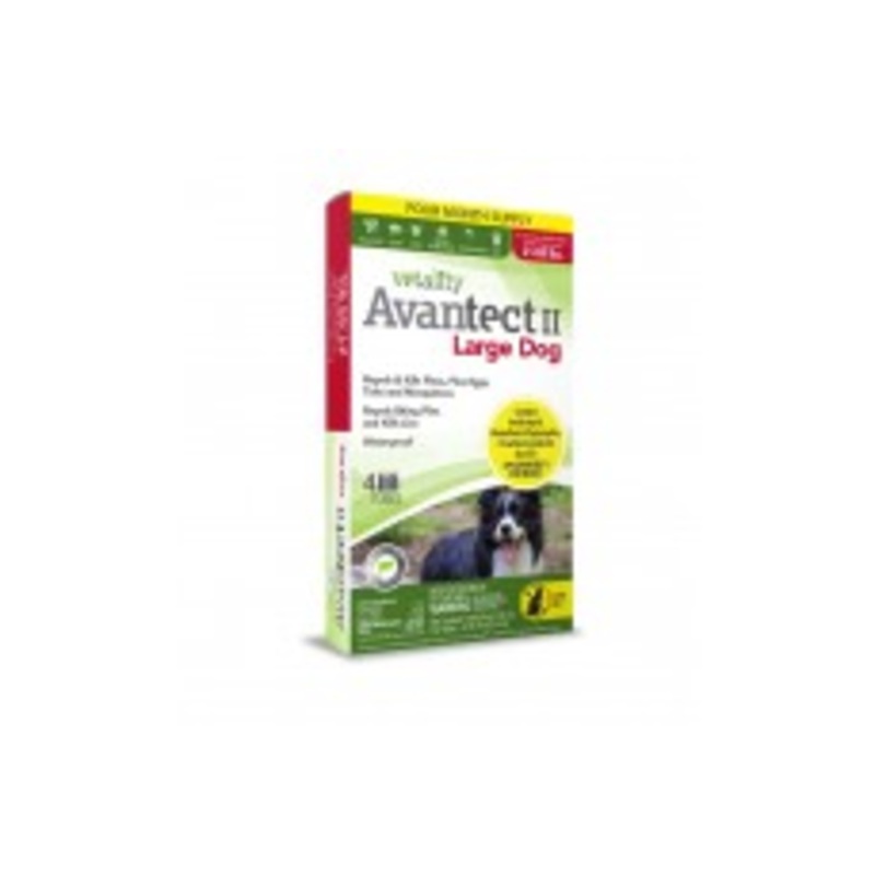 Vetality Avantect II Flea and Tick For Dogs 0.404 fl. oz 4 Count