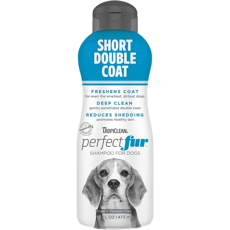 TropiClean PerfectFur Short Double Coat Shampoo for Dogs 16oz