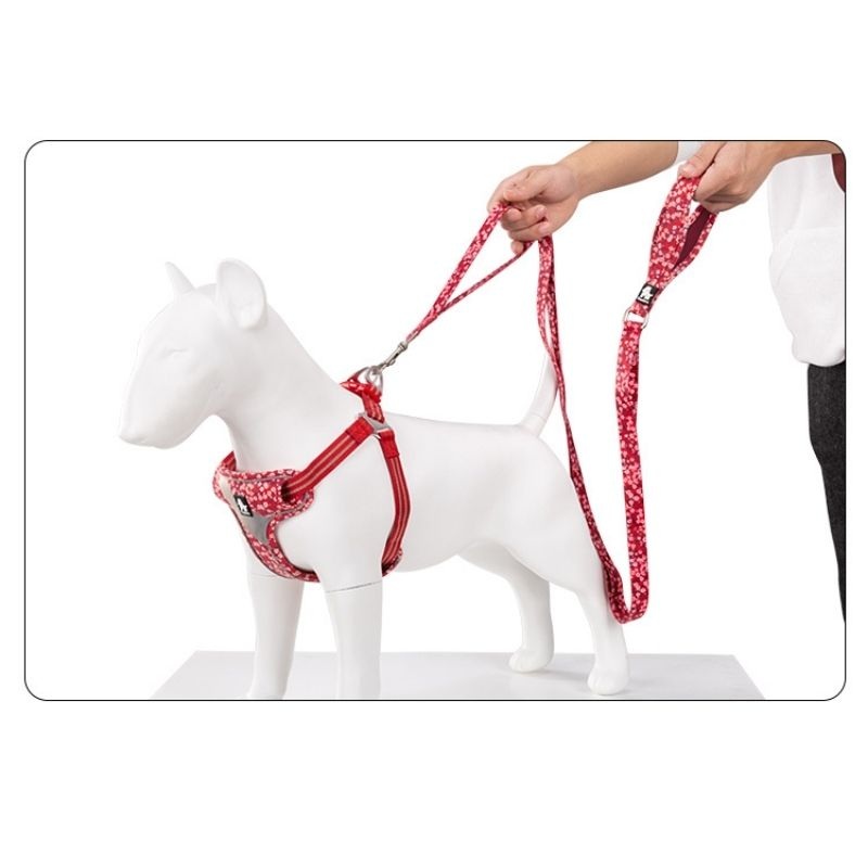 True Love Floral Leashes for Dogs - Poppy Red