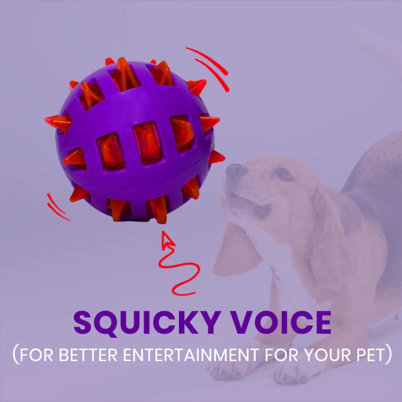 Basil Dog Toys - Spike Squeaky Big Ball (10.2cm)