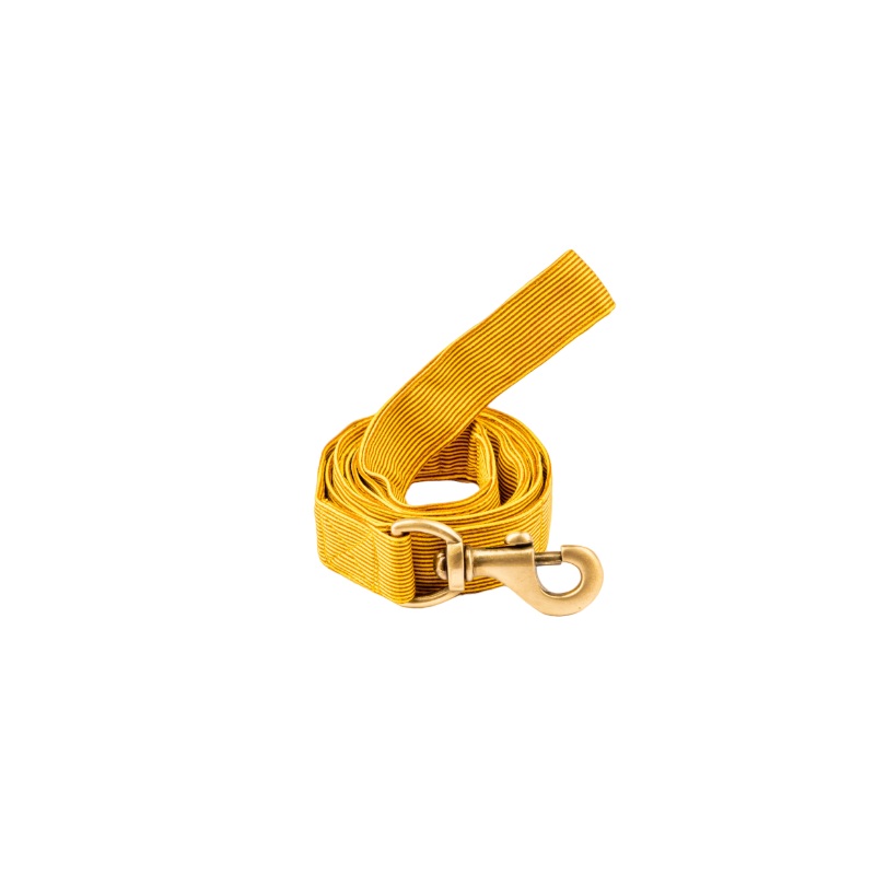 Furbuddies Leash For Dogs - Dandelion Yellow Canvas (5ft)