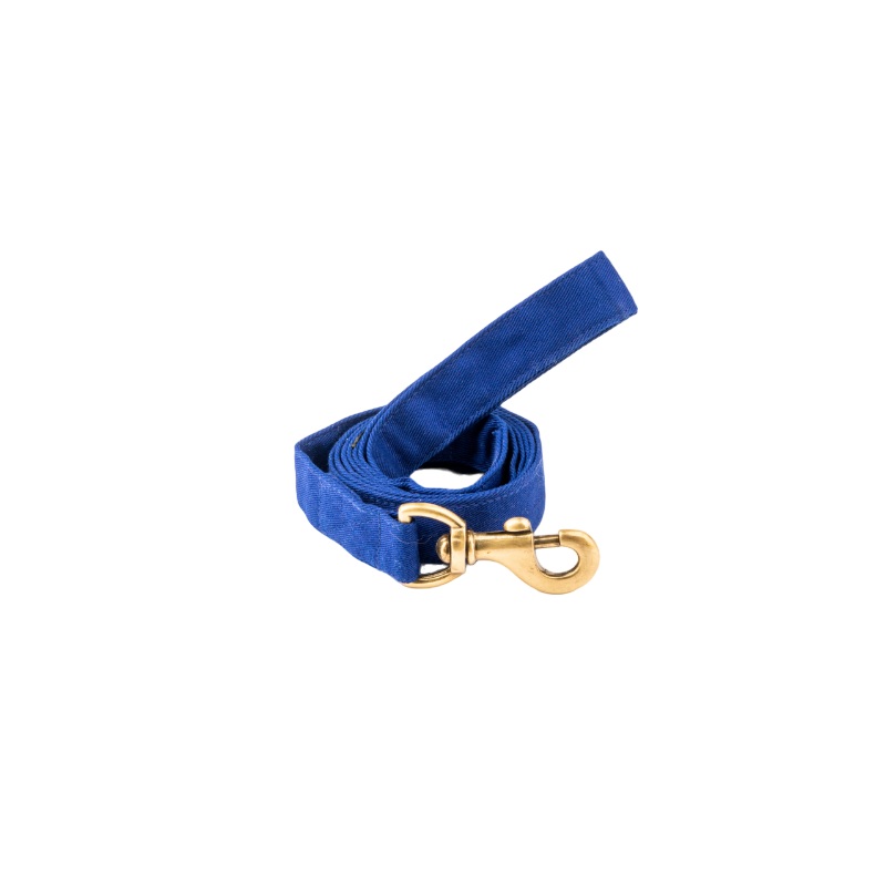 Furbuddies Leash For Dogs - Royal Azure Blue Canvas (5ft)