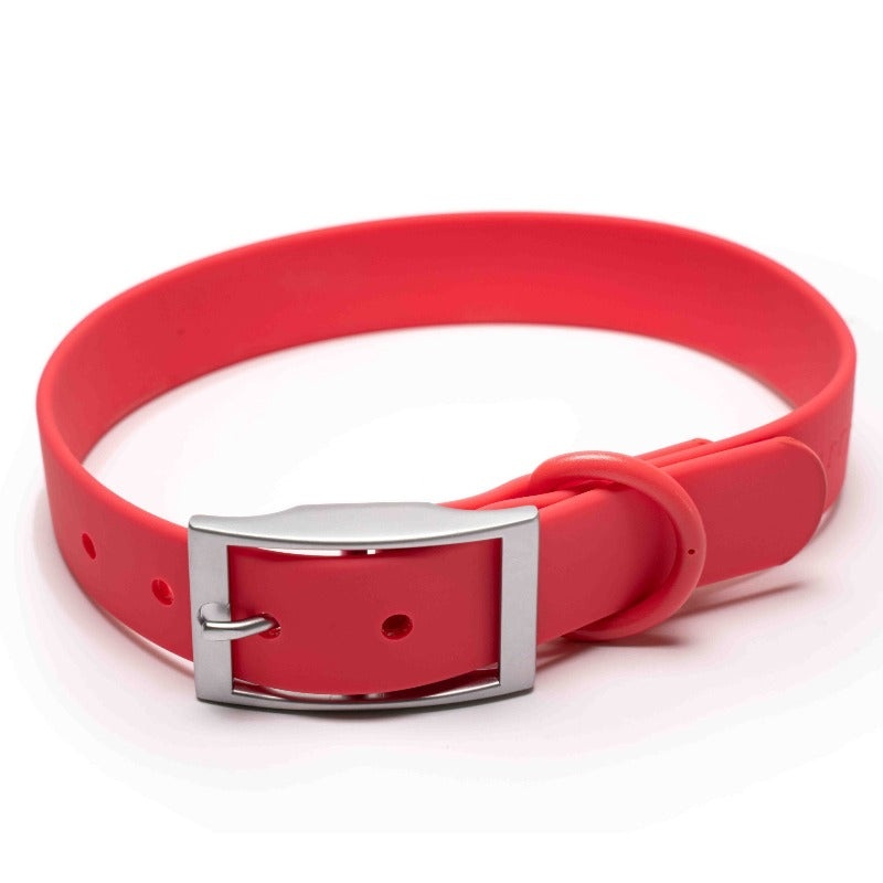 Furry&Co - Waterproof Bold Collar for Dogs