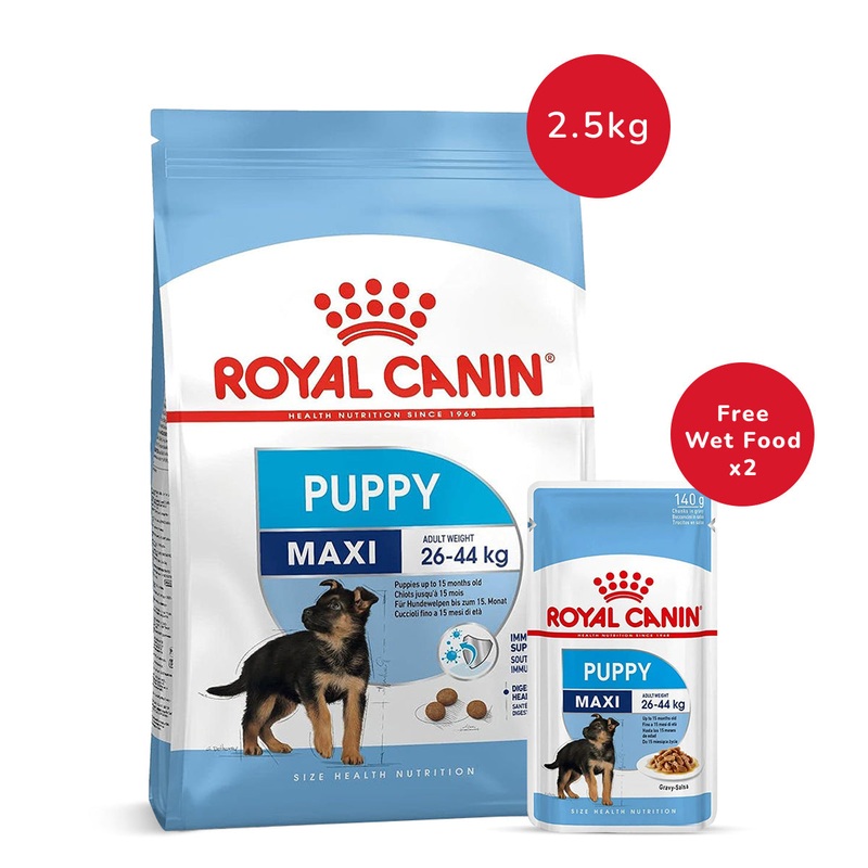 Royal Canin Maxi Puppy 2.5 Kg + Royal Canin Maxi Puppy Wet Dog Food (140 gm x 2)