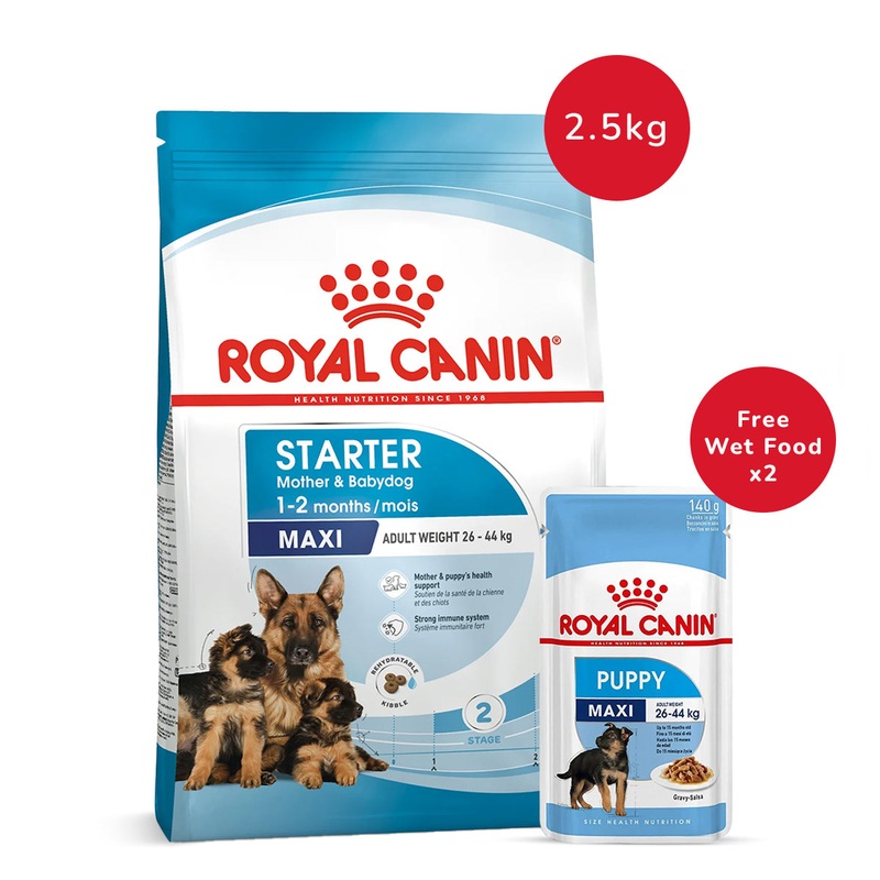Royal Canin Maxi Starter 2.5 Kg + Royal Canin Maxi Puppy Wet Dog Food (140 gm x 2)