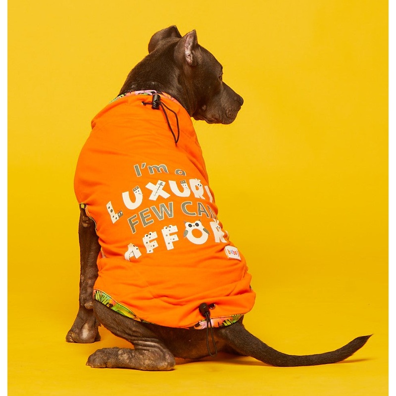 Beboji I Am Luxury Few Can Afford Dog Tshirt