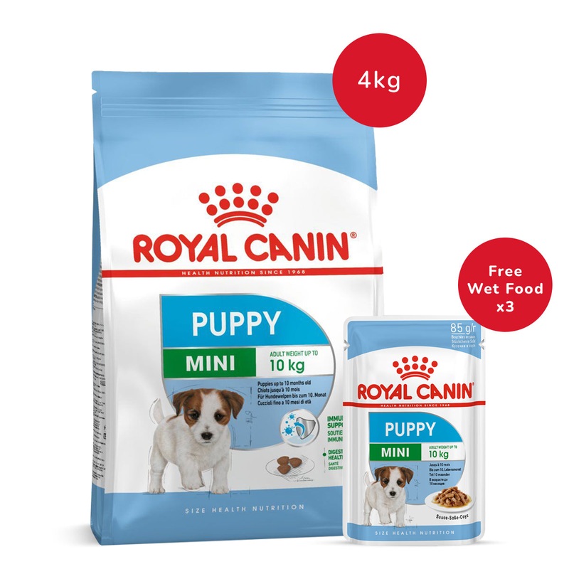 Royal Canin Mini Puppy Dry Food - 4 kg + Royal Canin Mini Puppy Wet Dog Food - (85 gm x 3)