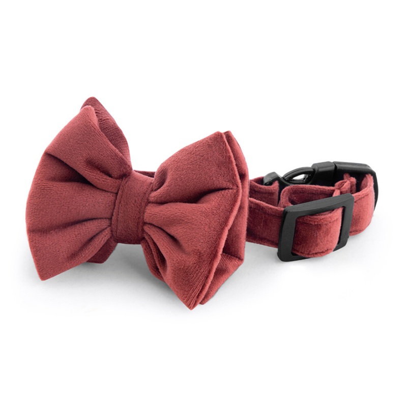 Amaya Dog Bow Tie & Strap - Rustic Orange