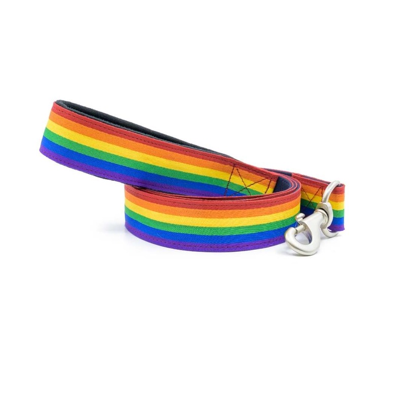 PetWale Leash - Pride