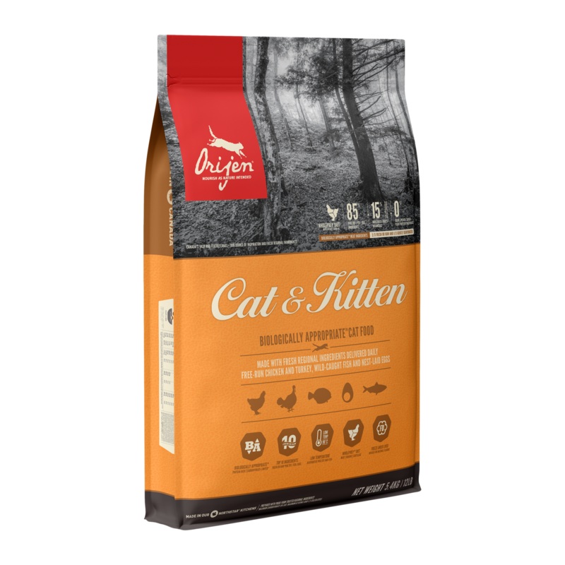 Cat & Kitten Recipe