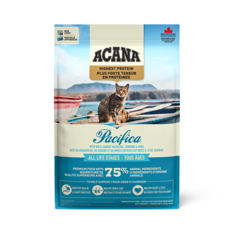 Pacifica Cat