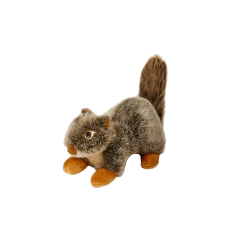 Nuts Squirrel