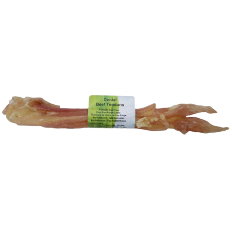 Beef Tendon