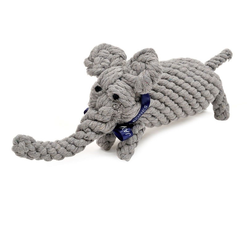 Coco the Elephant