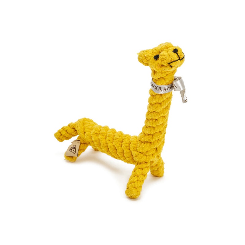 Jerry the Giraffe