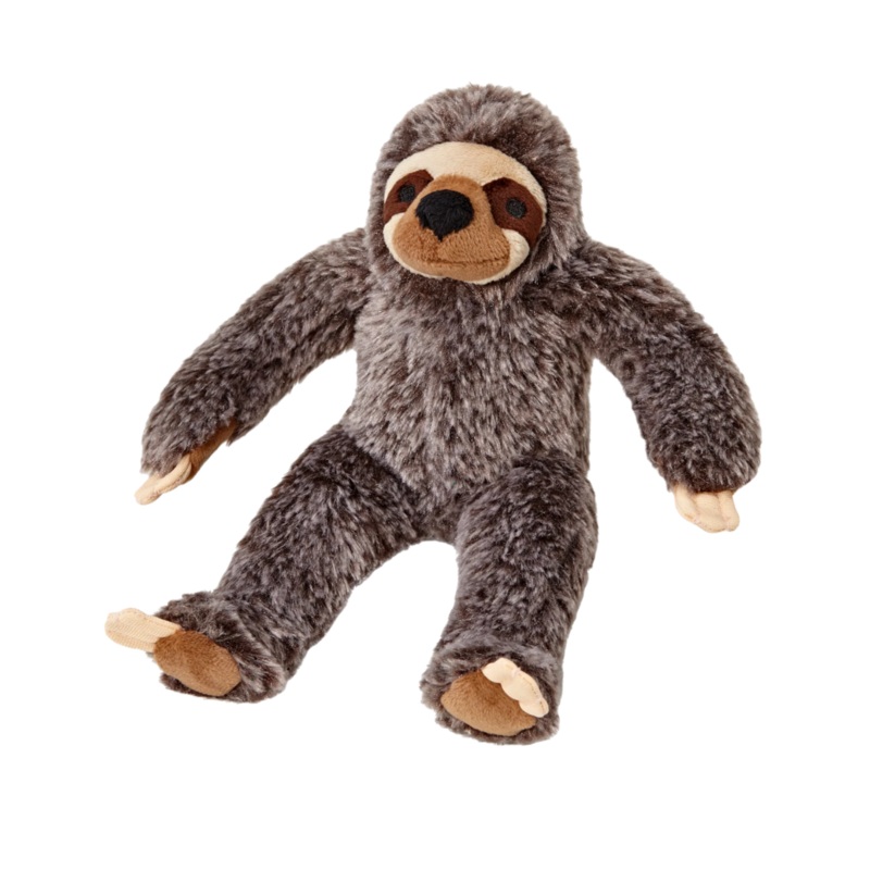 Sonny Sloth