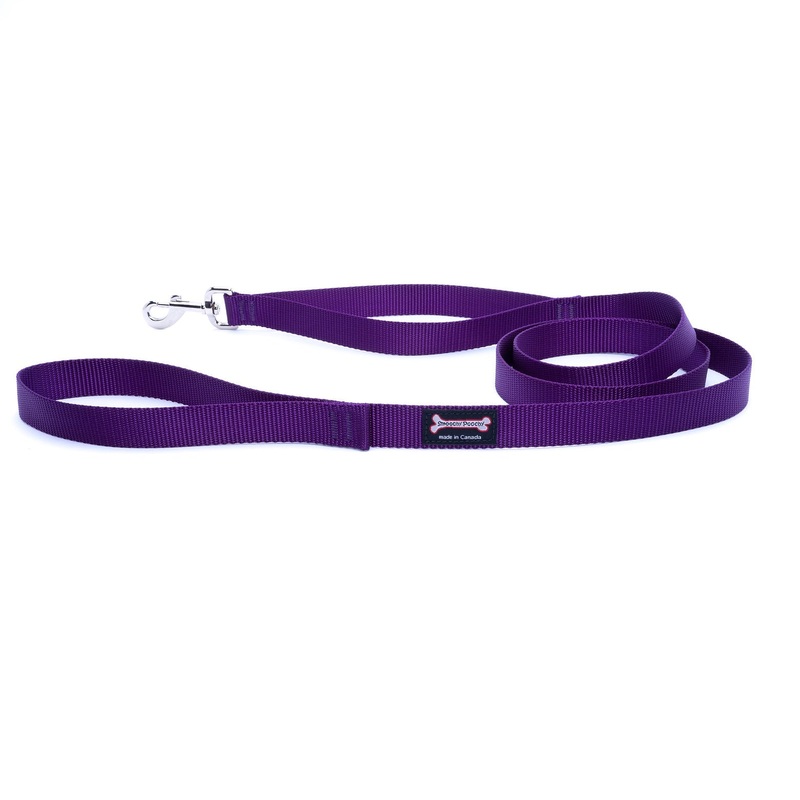 Standard Nylon Dog Leash - Purple