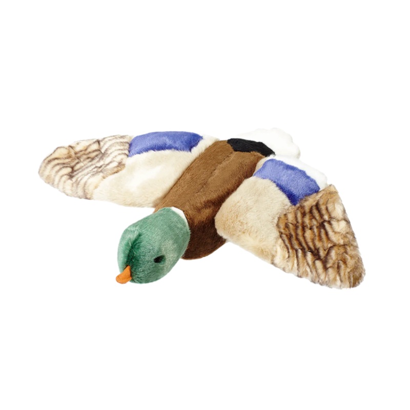 Wally Mallard
