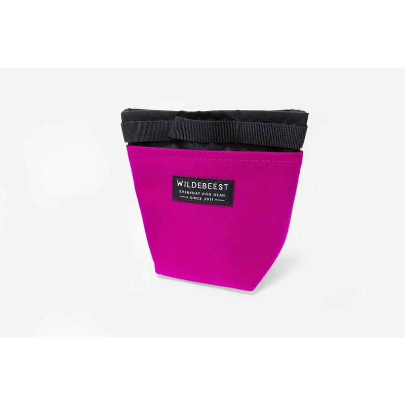 Alamo Treat Pouch: Fuchsia