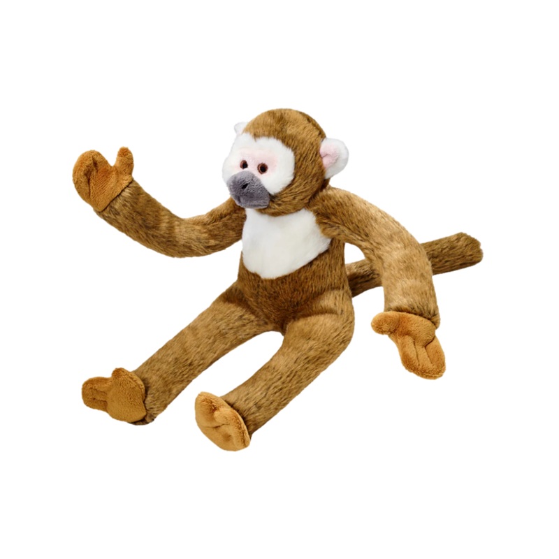 Albert Monkey