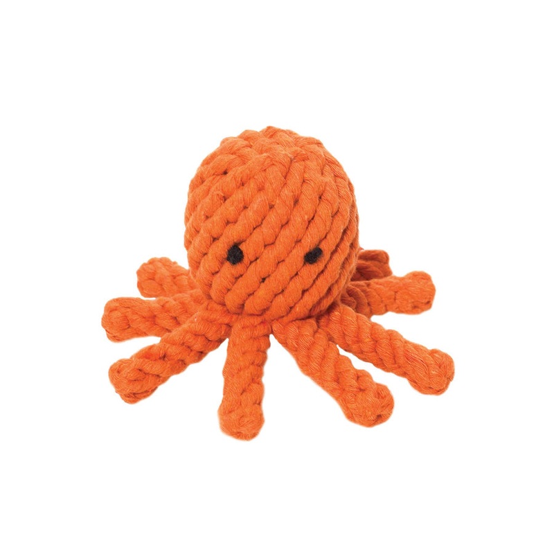 Elton the Octopus