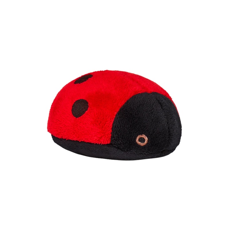 Lady Bug