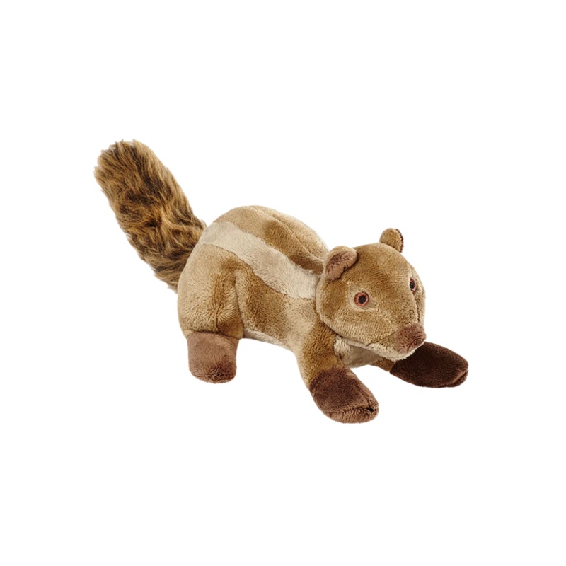 Peanut Chipmunk