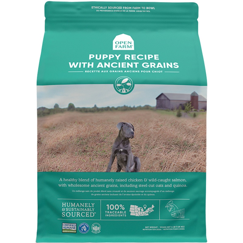 Ancient Grains: High-Protein Puppy Recipe