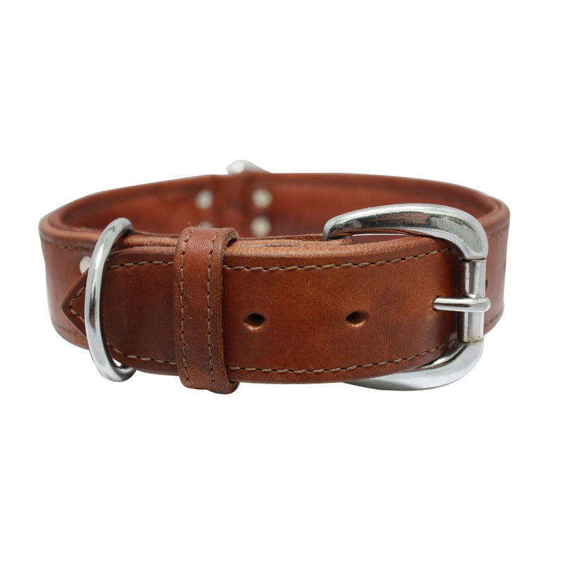 Angel Dallas Leather Collar