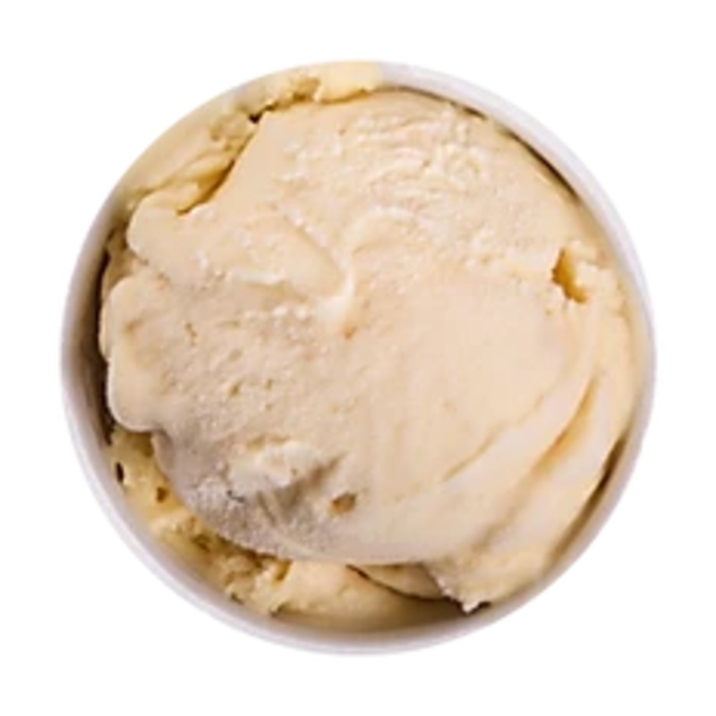 Barker & Snouts Pumpkin Ice Cream
