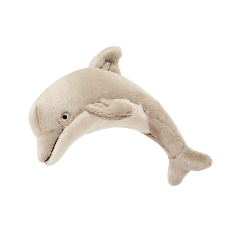 Danny Dolphin