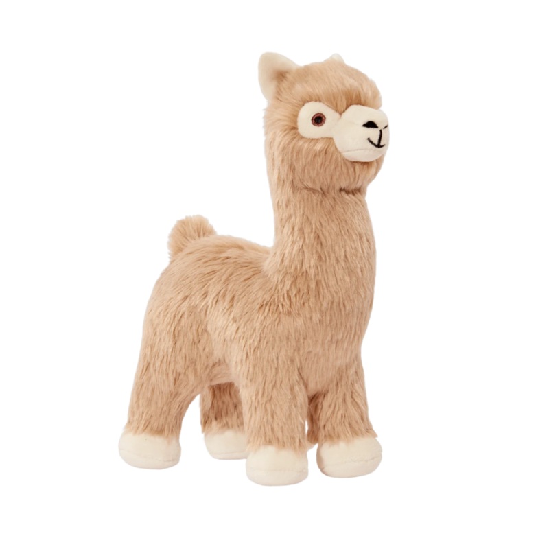 Inca Alpaca